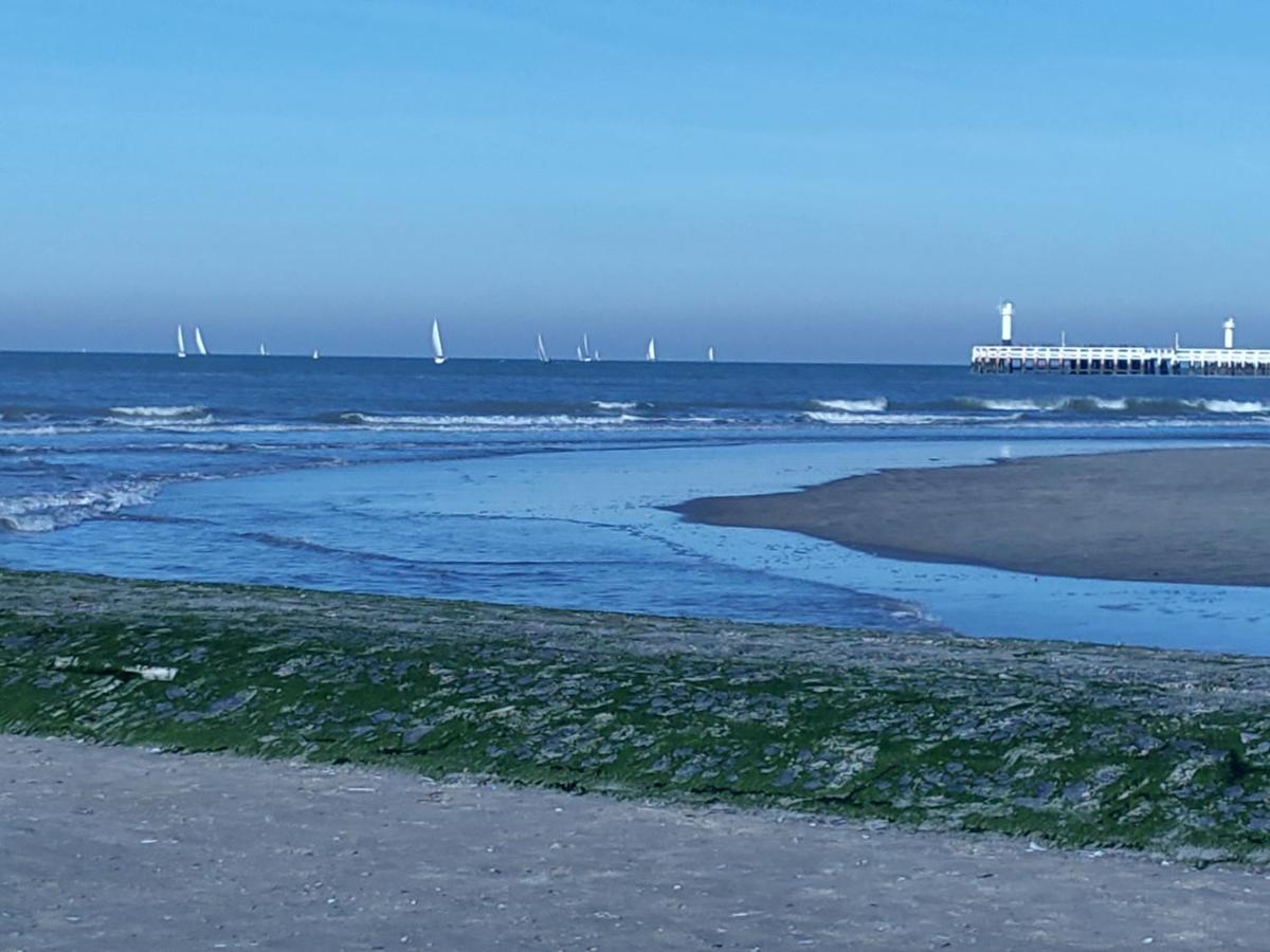 Studio Havenzicht Nieuwpoort Luaran gambar