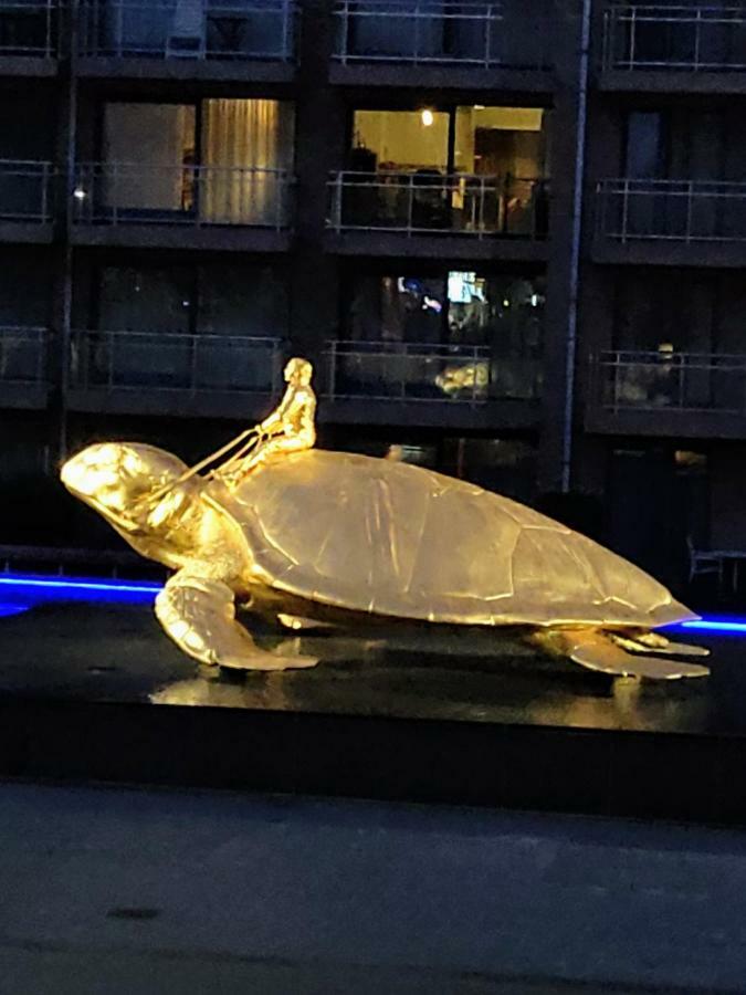 Studio Havenzicht Nieuwpoort Luaran gambar